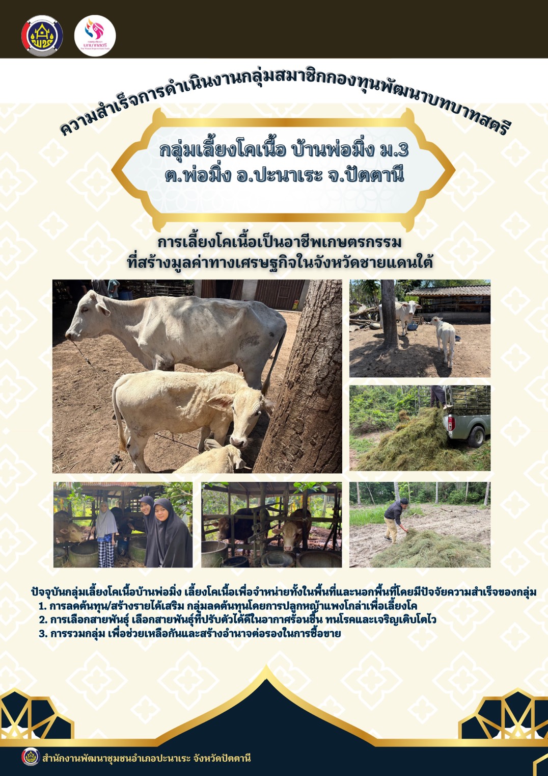 กลุ่มเลี้ยงโคเนื้อบ้านพ่อมิ่ง ม.3 ต.พ่อมิ่ง อ.ปะนาเระ จ.ปัตตานี