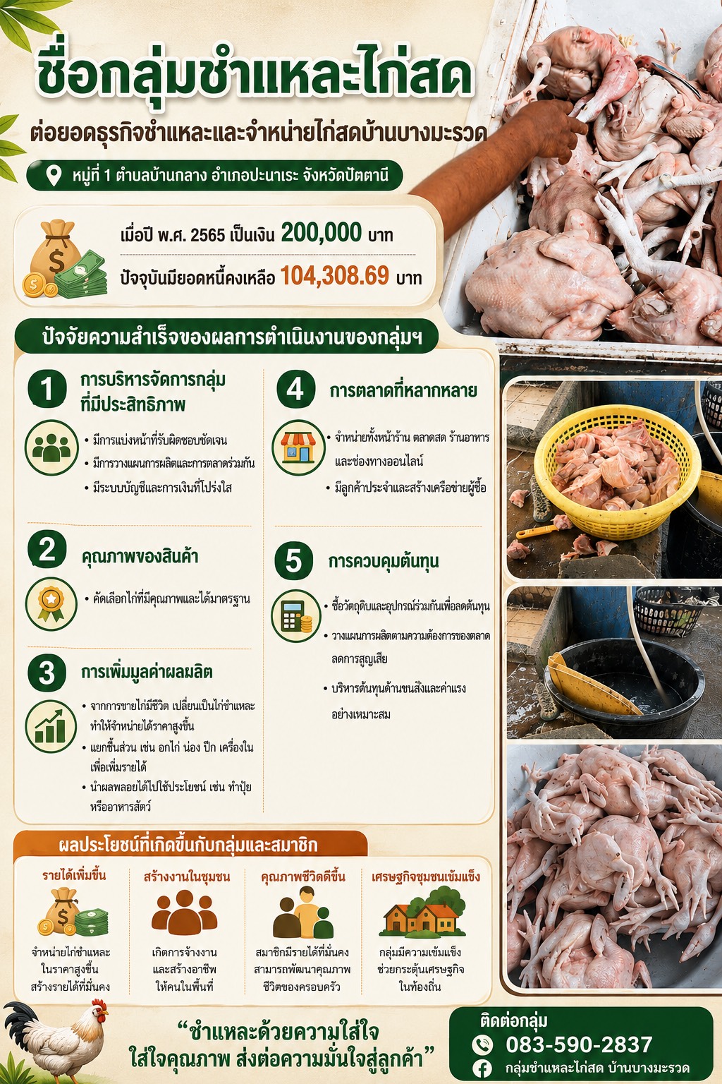 การดำเนินงานกองทุนพัฒนาบทบาทสตรีกลุ่มต่ยอดธุรกิจชำแหละและจำหน่ายไก่สดบ้านบางมะรวด ตำบลบ้านกลาง อำเภอปะนาเระ จังหวัดปัตตานี